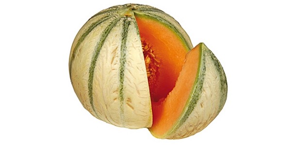 THE HEALTHY AND FRESH MELONS FROM MOROCCO AND SPAIN !