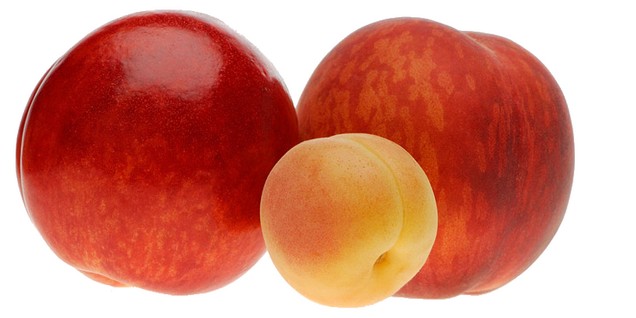 PEACHES, NECTARINES, APRICOTS CAMPAIN. RESERVE PALLETS SINCE NOW !